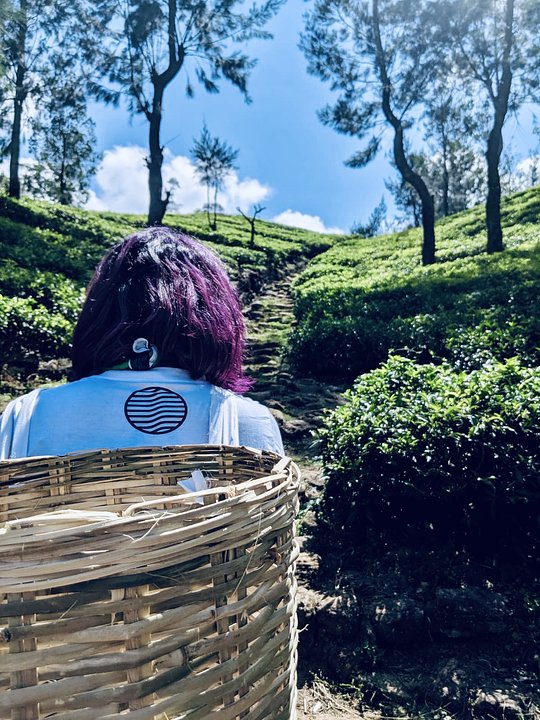 Tea & Experience Factory