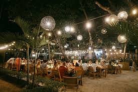 Curated Dinner at Agua Salada