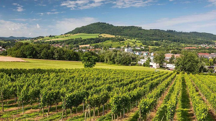 ngtr_eat_freiburg_natur_copyrightfwtmspiegelhalter1_hr_web_0