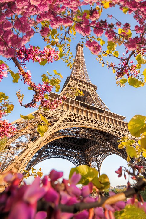 iStock13897625141