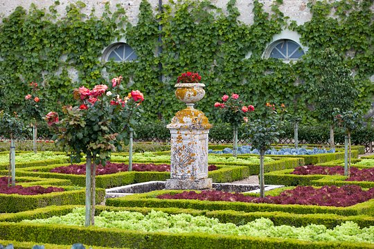 Wander the legendary terraced gardens of Villandry