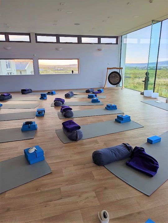 Daily Yoga Classes