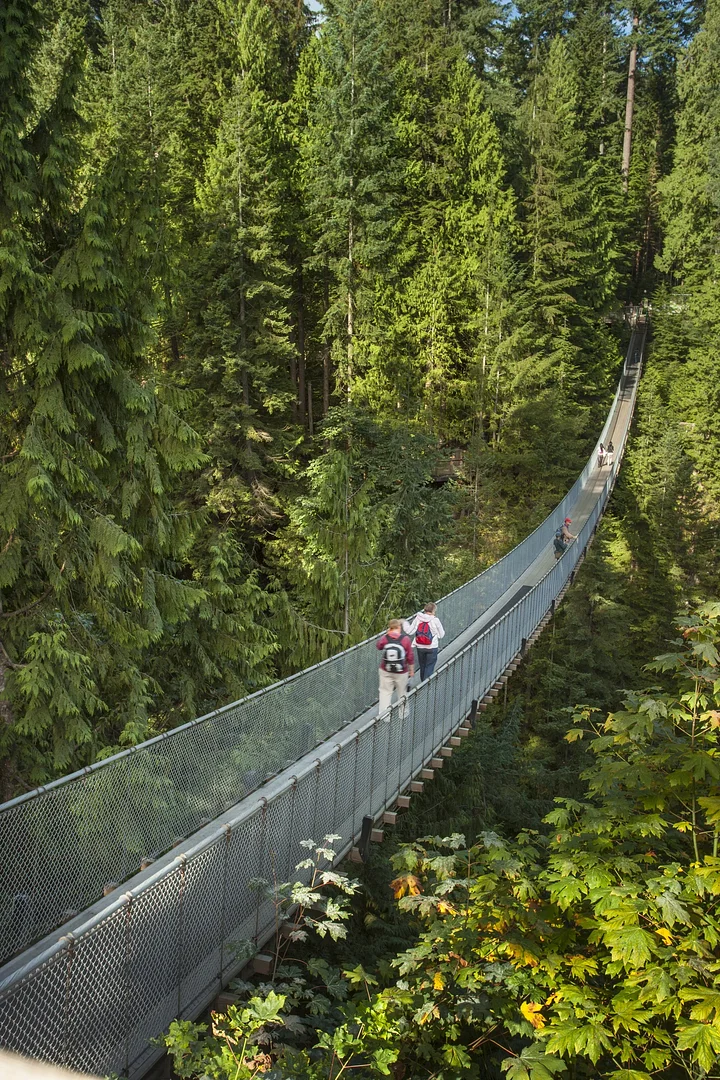 iStock852775396