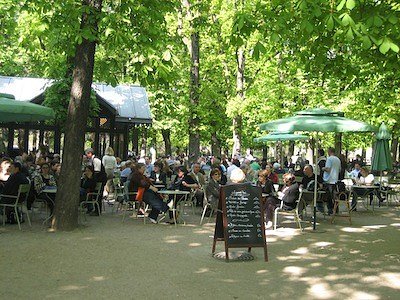 sociallikeparissiene211