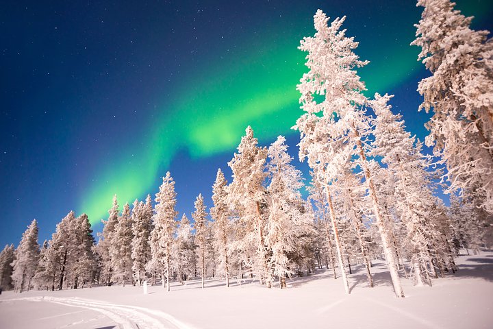 NorthernlightsAuroraBorealisinLaplandFinland869275270_2123x14171
