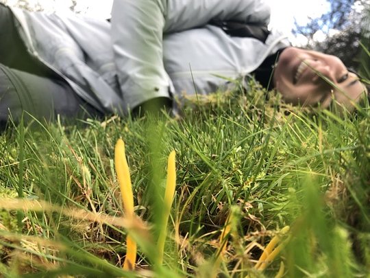 Connect to the land