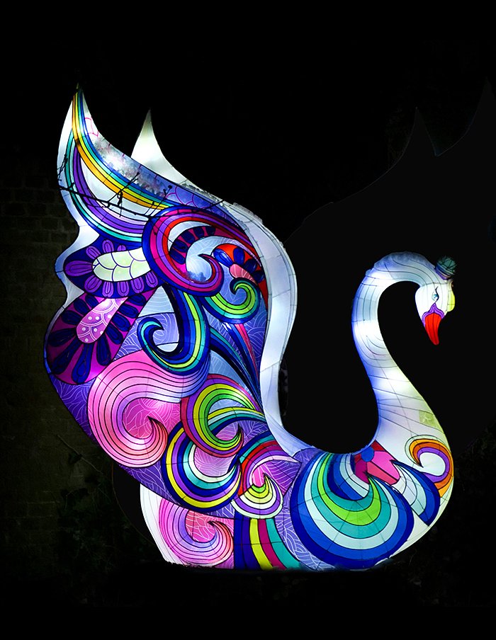 LightopiaImagesHdrMOBSwan