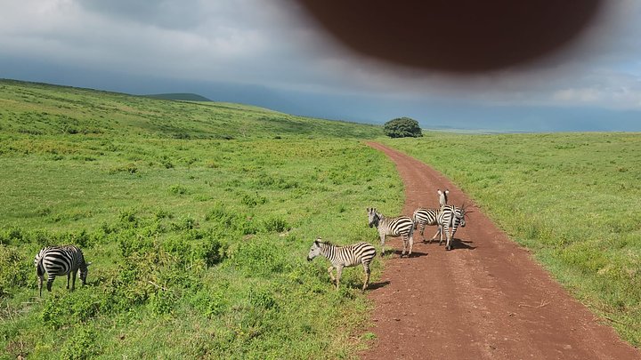 PHOTO202304271504452
