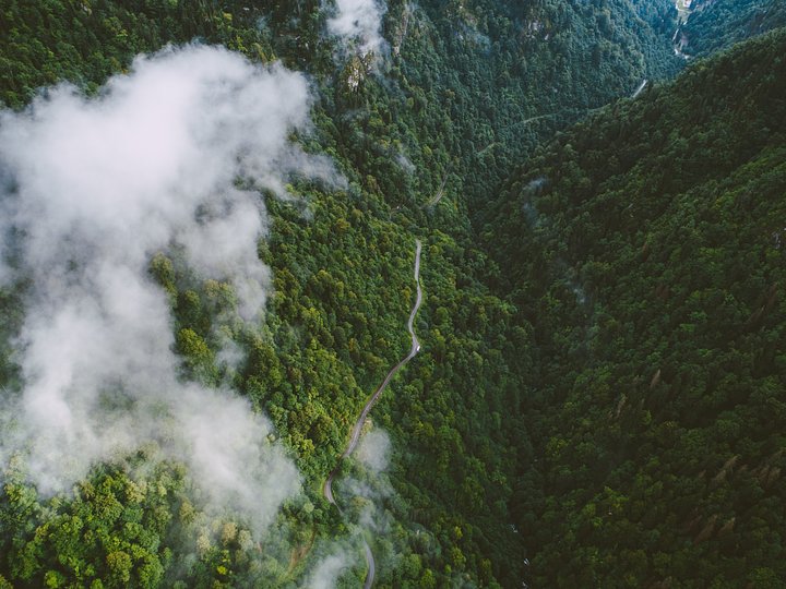 ivarsutinansU83n5GMxJsQunsplash