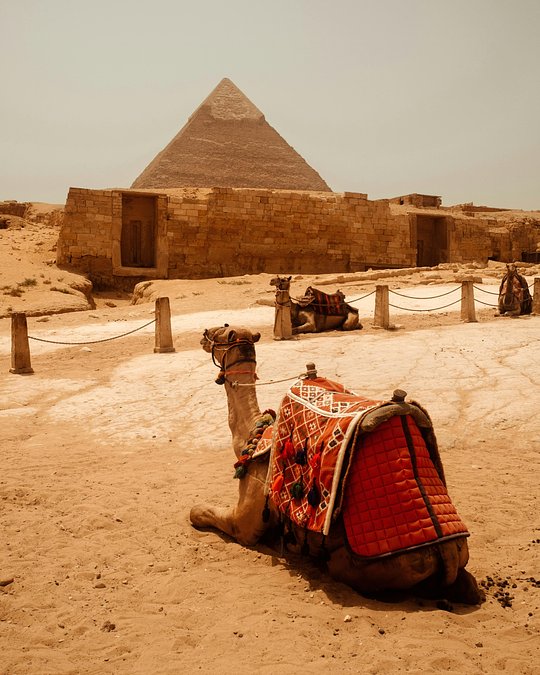 Explore Cairo