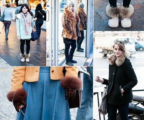 fur_46011