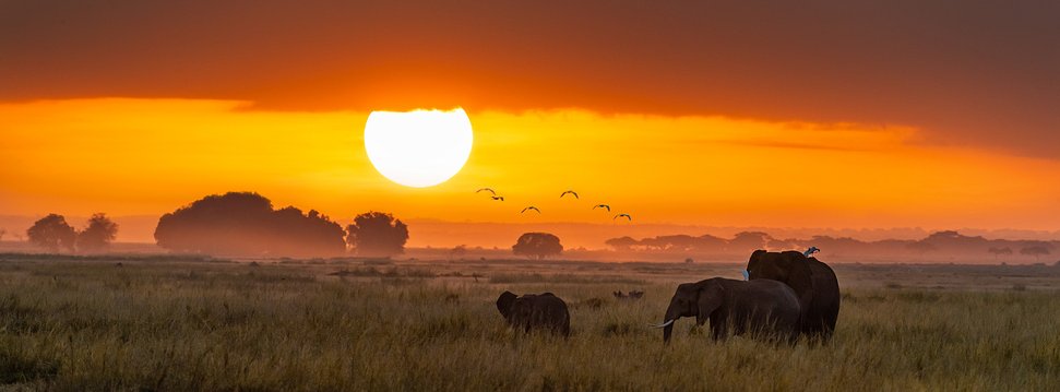 Wild Horizons: From South Africa to Botswana’s Untamed Wilderness