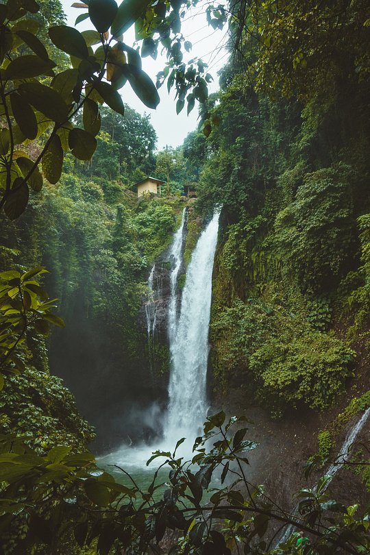 Endless Nature