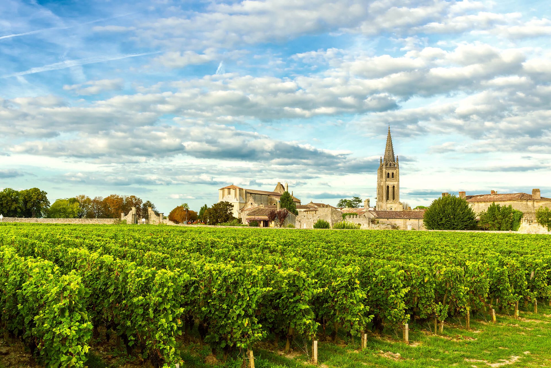 The Magnificent Bordeaux Wine Region