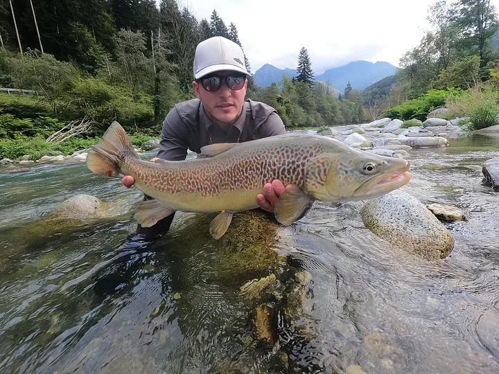 trentinobigfishhybrid.marble.browntrout