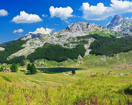 The National Parks
