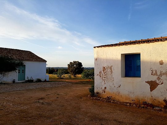 The oldest Vineyard in Southern Portugal