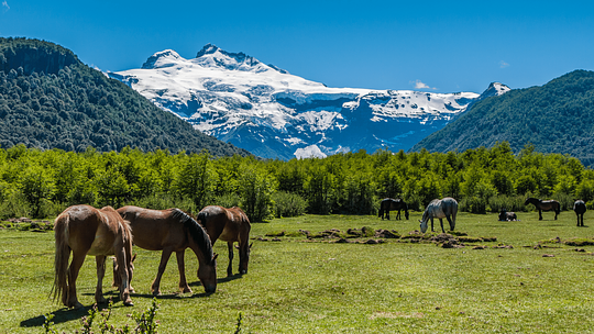 MOUNTAIN LIFE