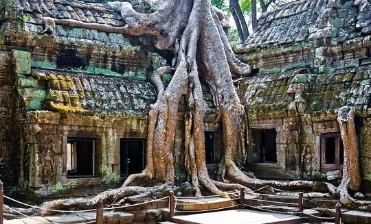 Visit Angkor Thom, Angkor Wat and the temple of Ta Prohm