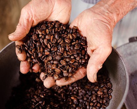 Coffee Region
