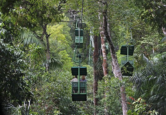 Journey into an Indigenous Village Jungle 