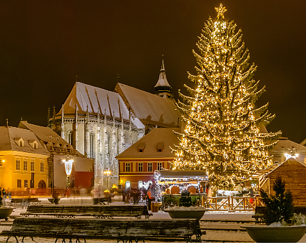 Brasov's Christmas Tree
