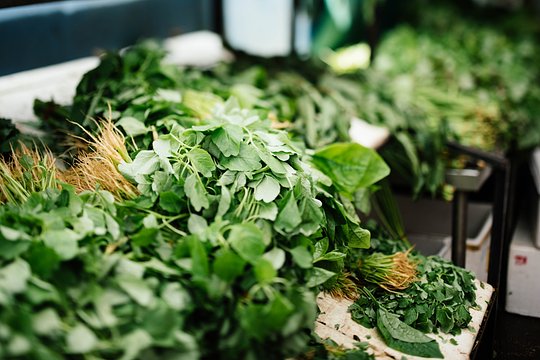 Fresh Herbs