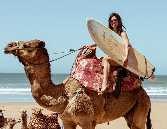 camelsurf