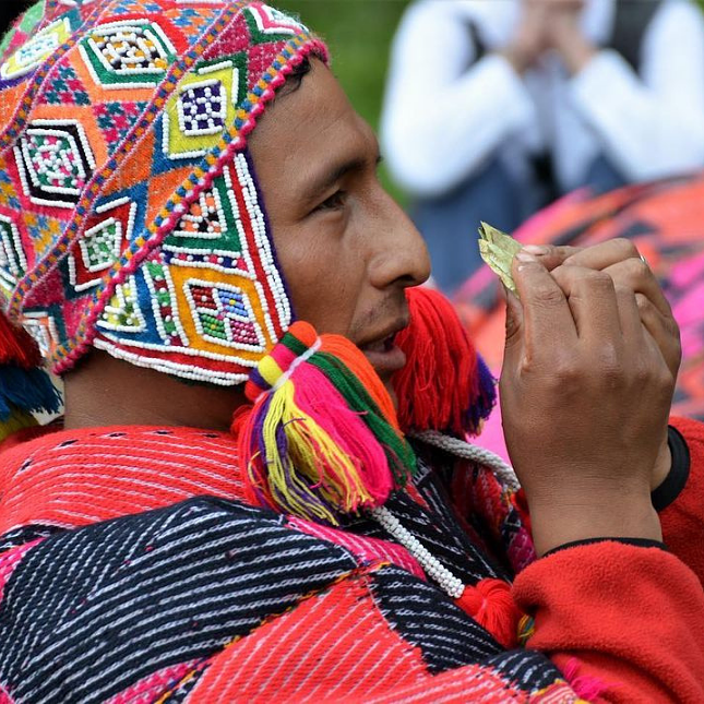 Coca Leaf Oracle Reading (Online)