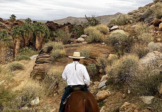 Guided Horseback Riding
