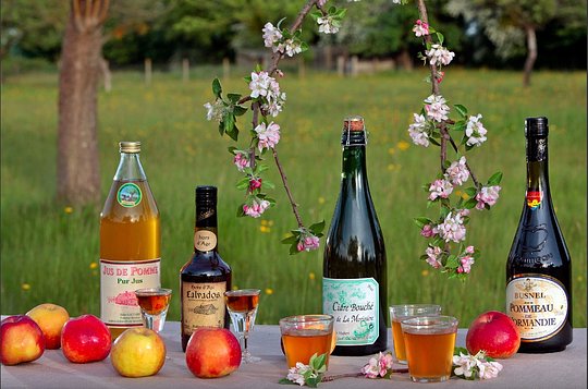 Taste traditional cider, pommeau, & calvados at a premiere distiller