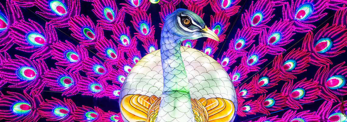 448A99242200x14672x
