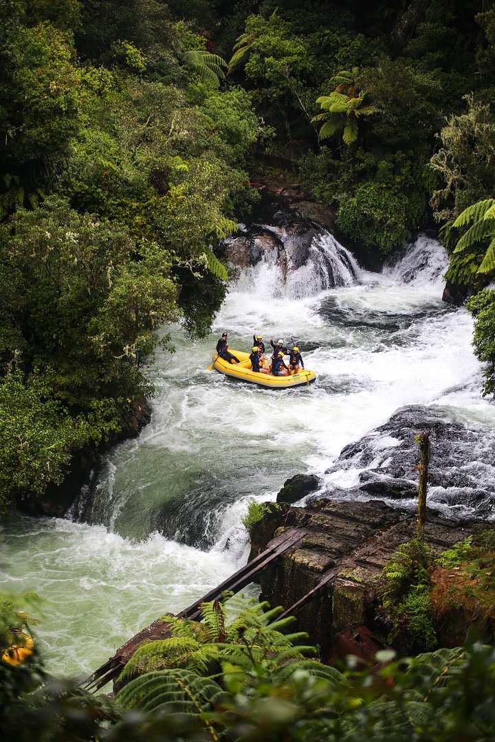 jvF_lRKdz8MyQunsplash