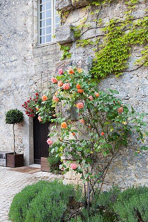 rigau051163M_facade_30011