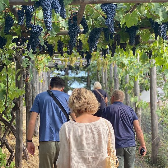 7 Day | Tuscan Gastronomy and Cooking Retreat