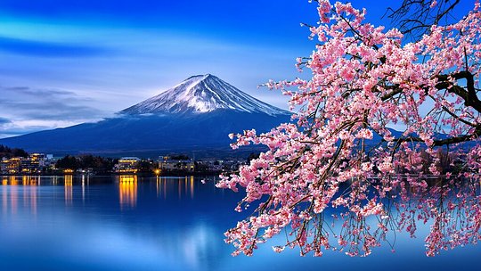 Mt. Fuji
