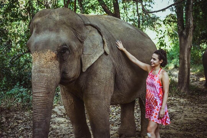Female solo traveller caring for a rescued thai elephant