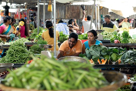 Experience off-the-beaten-path villages on Mauritius to connect with the local culture
