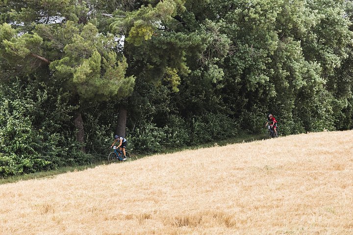ride4good73