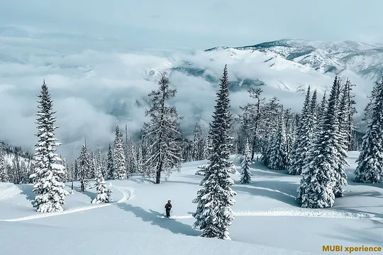 Altai xploration