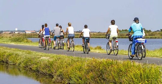 Cycle an electric bike through glorious salt marshes and a nature reserve