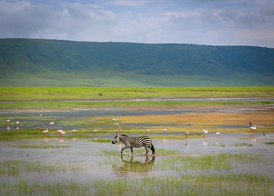 Africa's Garden of Eden
