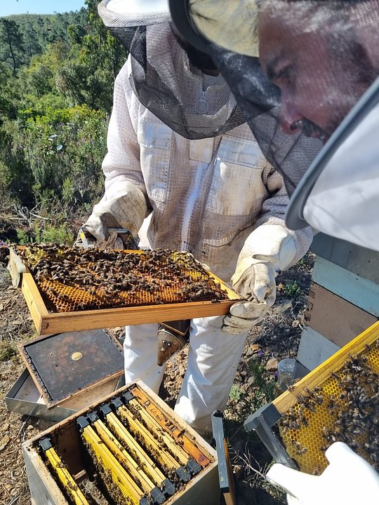 Life of a Beekeeper