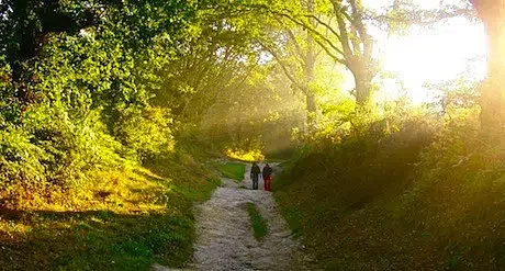 CaminodeSantiago460111.jpg