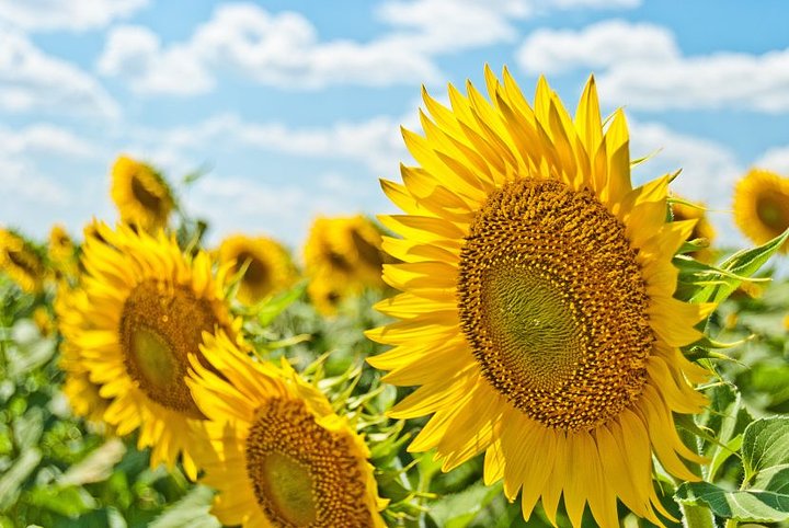 aleksandrereminQfHmrIUN9G0unsplash830x556