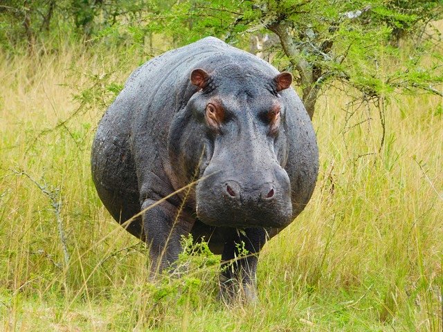 emmyshingiroFb0k8nC_6j4unsplashMedium