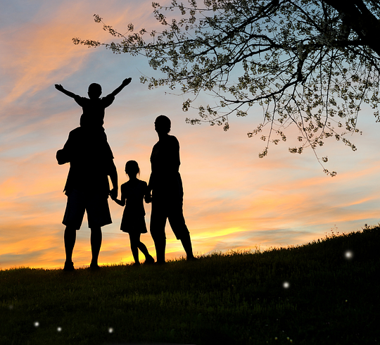 Learn to create more cooperative and supportive atmospheres