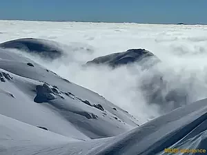 mubiphotosnowcatskigeorgie_182