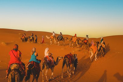 SurfYogaBeer group on a sunset camel trek in the Sahara