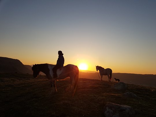 Therapeutic 1-1 Horse Ride